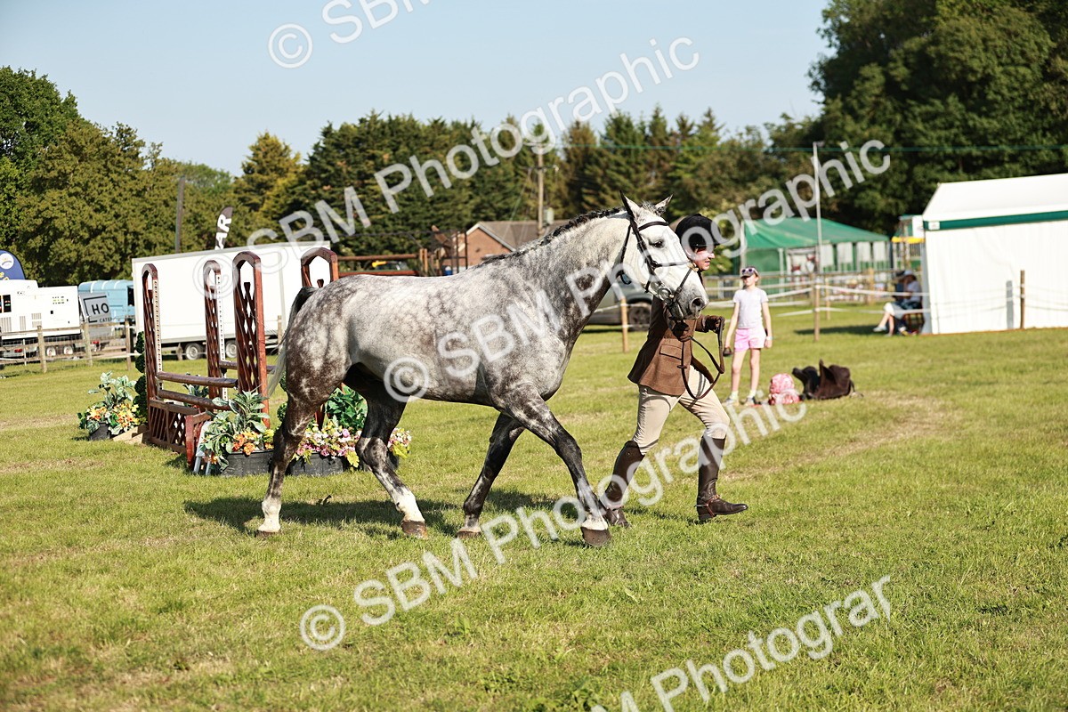 SBM_20020 - Class 115-116 - LIHS BSHA Rising Star Working Hunter & Show Horse