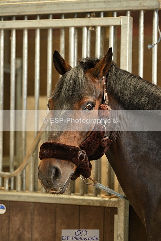 240809A-085113-00027 - Stable Shots