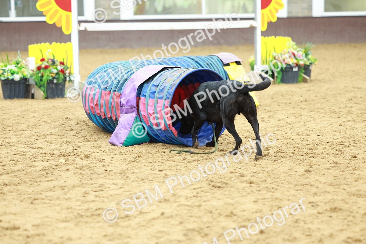 SBM_002574 - Class 3 - Horse & Hound (60cm)
