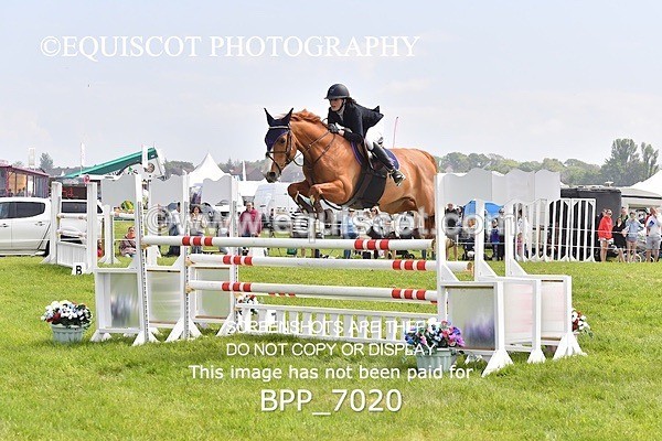 BPP_7020 - CLASS 3 RHS Fox Champ Qual (1.20m)