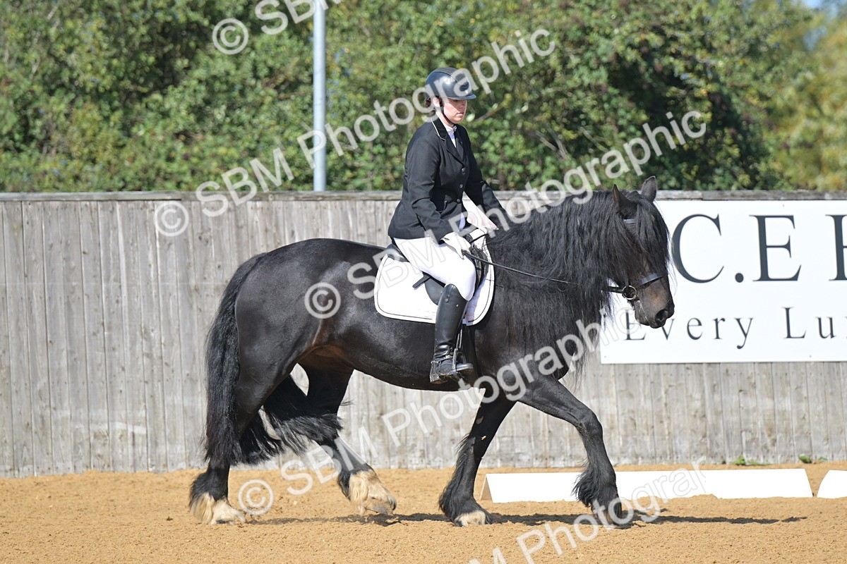 SBM_03973 - D2 - Small Tour Championship Intro 2