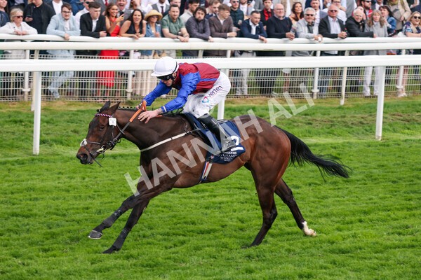 yr13052022r7-42 - Race 7 5.15pm Longines Irish Champions Weekend Stakes