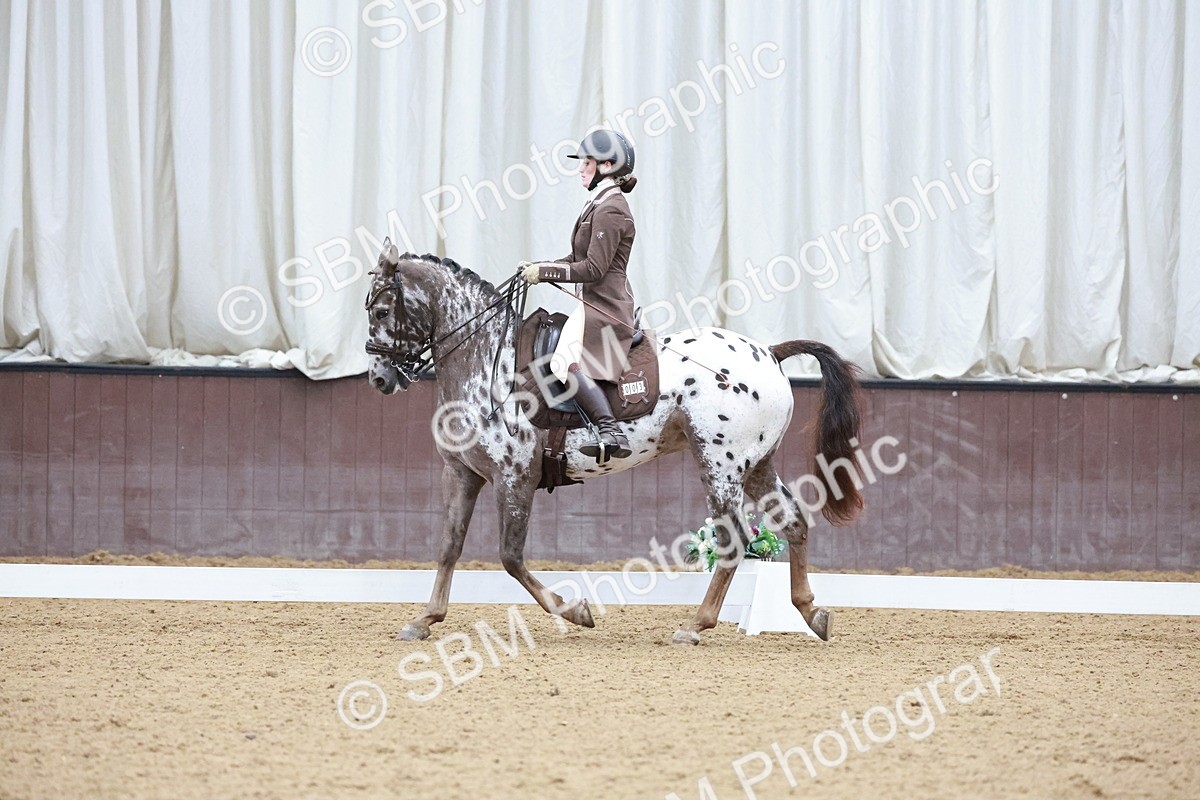 SBM_021368 - Class 14 - FEI Grand Prix - 17.40-18.34