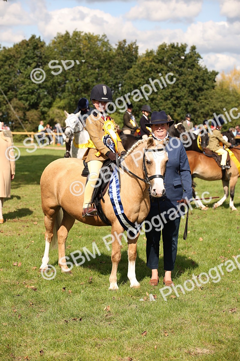 SBM_40932 - Fun Showing Supreme Championship