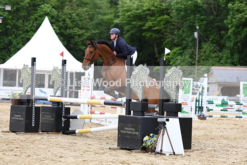 3E7A6388 - Class 4: Senior British Novice/90cm open