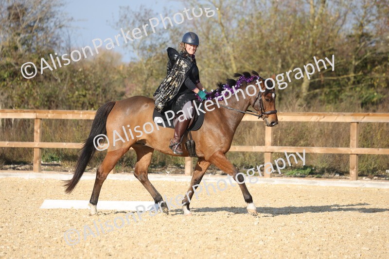L20261031-0126 - Class 5 - Novice 2