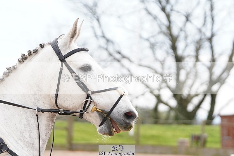 250419-145030-12753 - 653-Isabella.Powell-CARNEGIE.DIAMOND