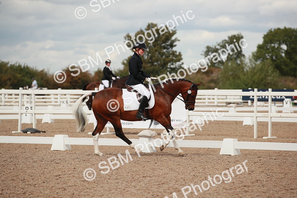 SBM_05919 - Class 32 - Novice 1