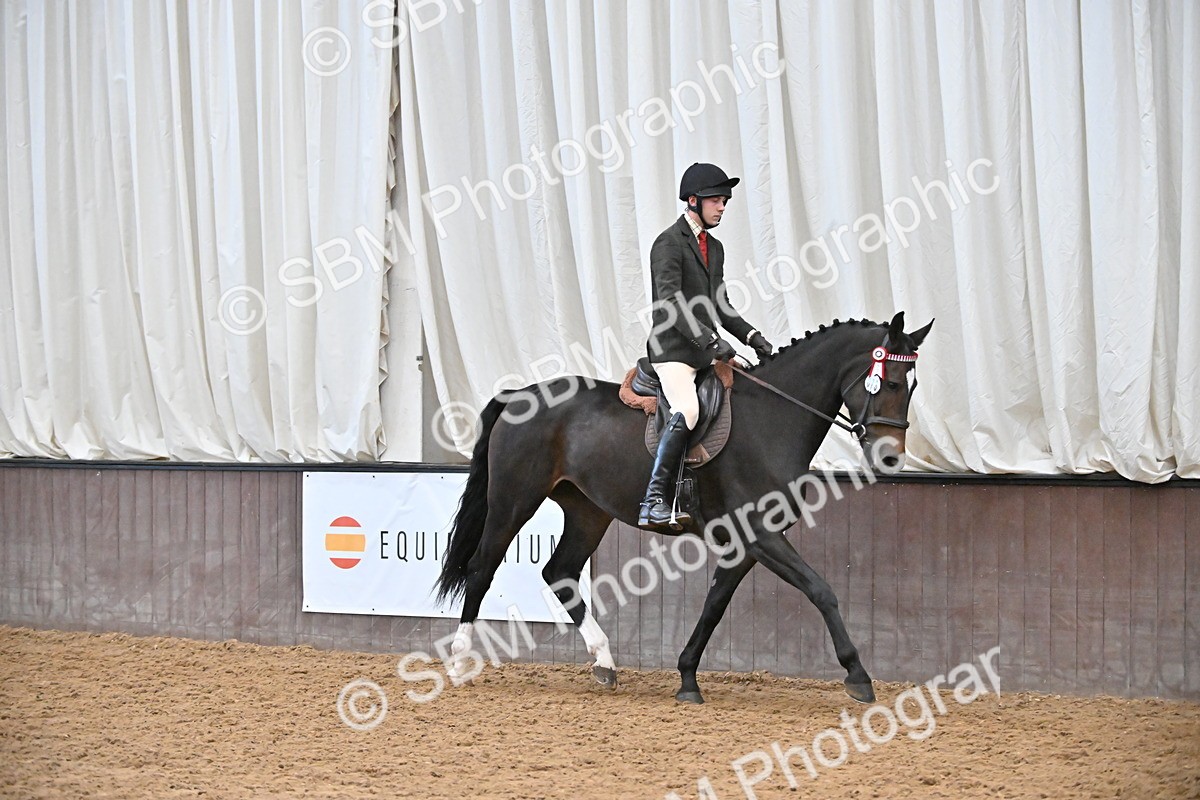 SBM_002334 - Class 22 - BSHA Ridden Hack & Riding Horse