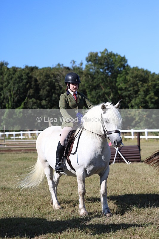 3E7A5400 - Class 2: Working Hunter 60cm