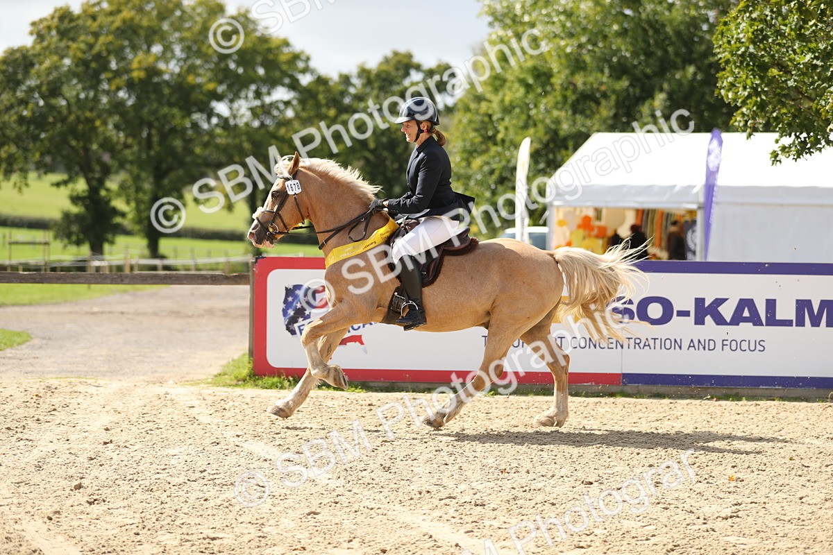 SBM_05841 - J35 - Veteran Rider 60cm