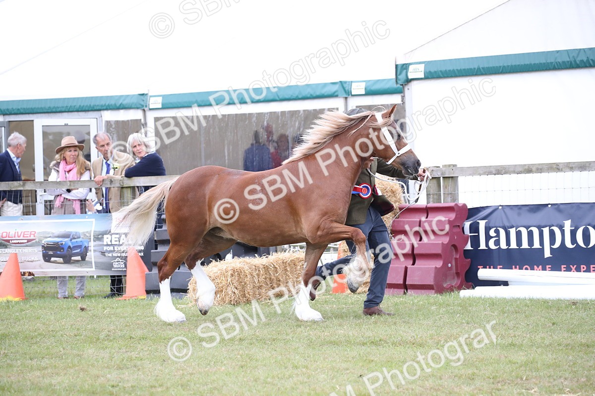 SBM_09759 - Ch 50 - Price Family Supreme In Hand