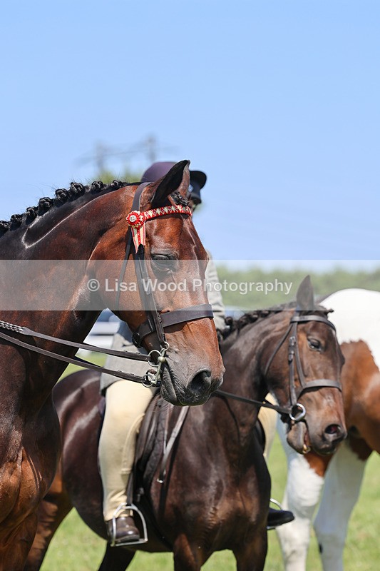 IMG_2547 - Class 38: Veteran Ridden