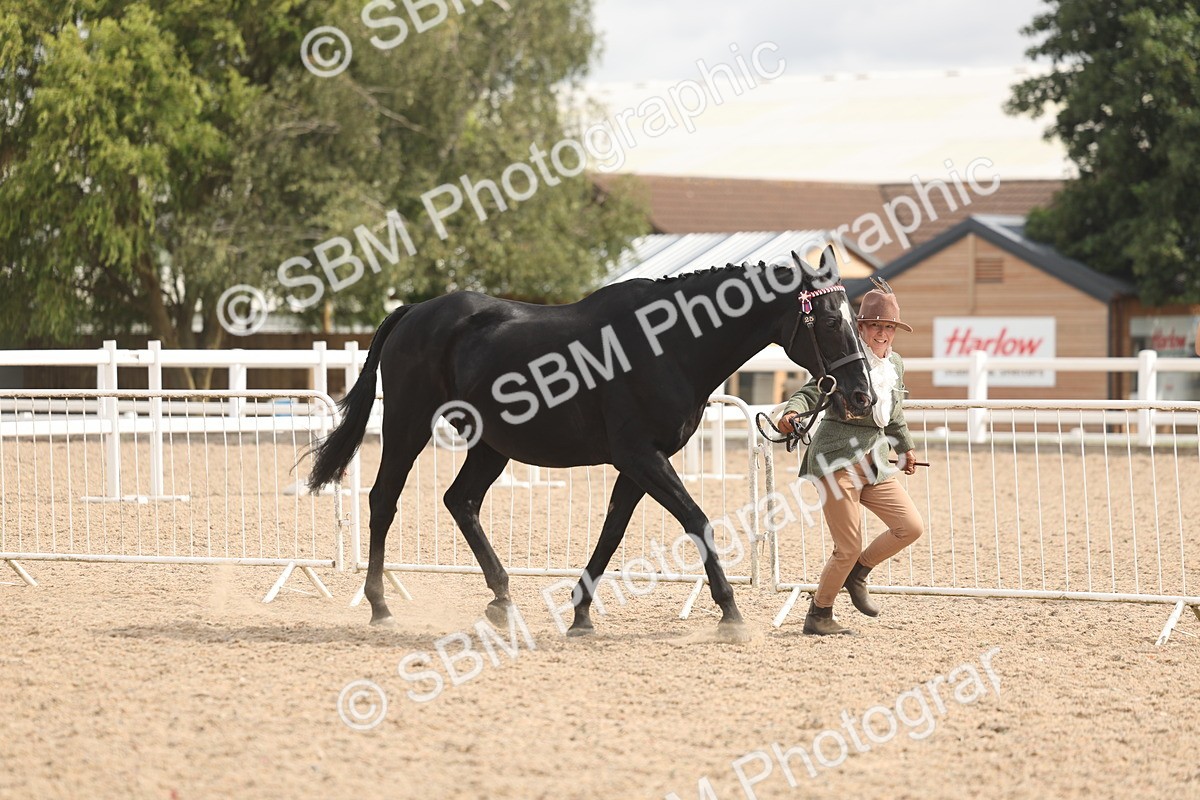 SBM_04934 - Class 20 - IH Veteran
