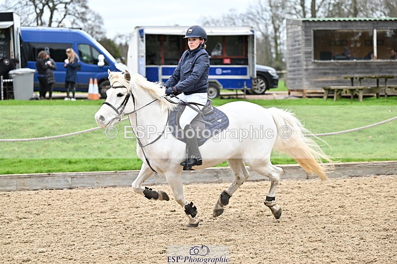 250201A-101329-00169 - Cls 01 Local Horse 90cm