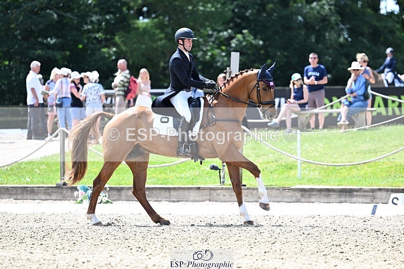 260529A-134217-10503 - G-773-Tommy.Greengard