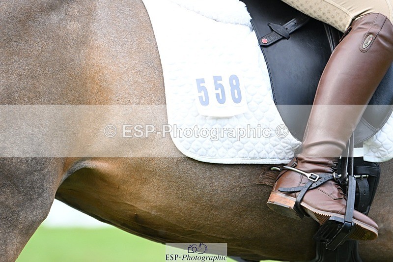 231020-161101-11621 - 558-BATHLEYHILLS.GOLDEN.SPRAY-Cleo.Whitbread-DR