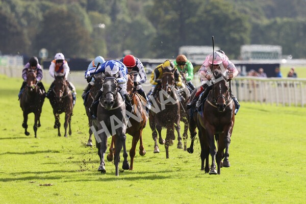 yr24092021r4-17 - Race 4 3.15pm William Hill Play Responsibly British EBF Restricted Novice Stakes