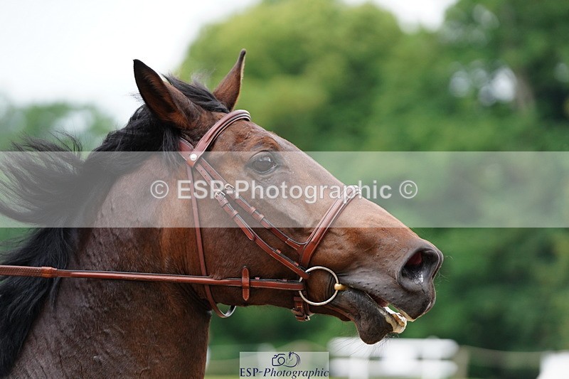 250615A-094946-09933 - Class 43 British Novice 90cm Open