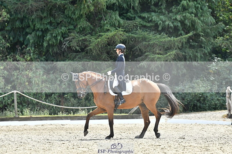 260802A-153444-07513 - Intermediate Bronze