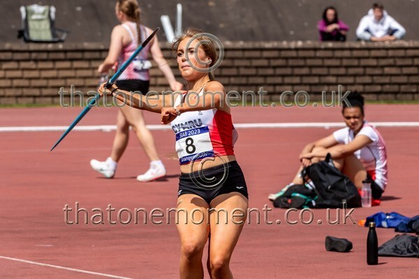 SIAB23-528066 - Field Female Set One