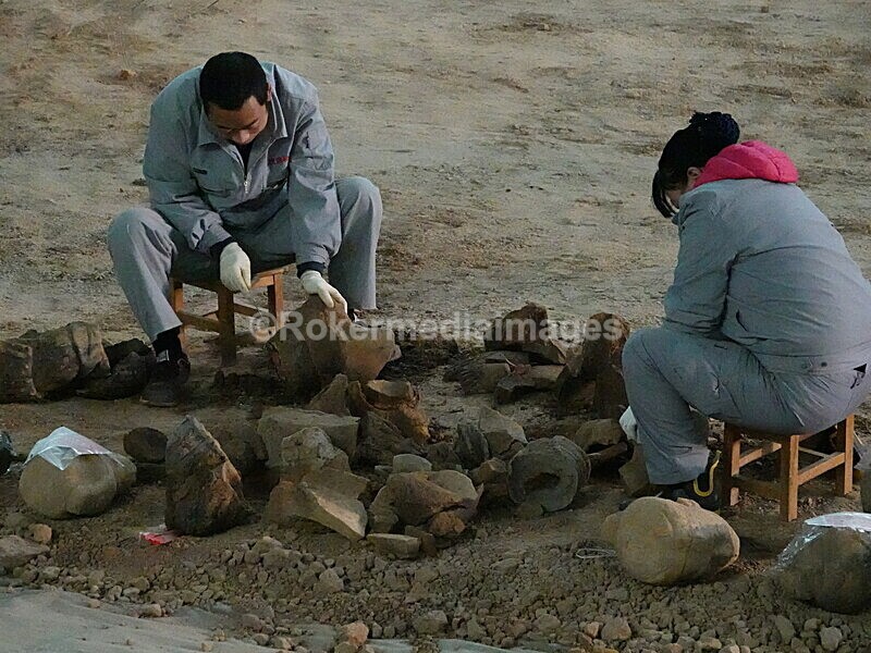 CHINA__0899 - China 2019