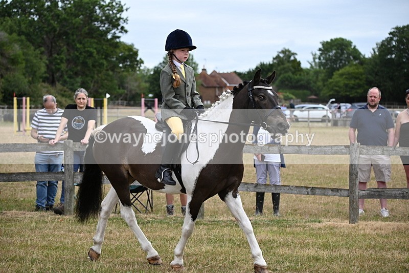 WJ6_3894 - Class 9 Tack & Turnout