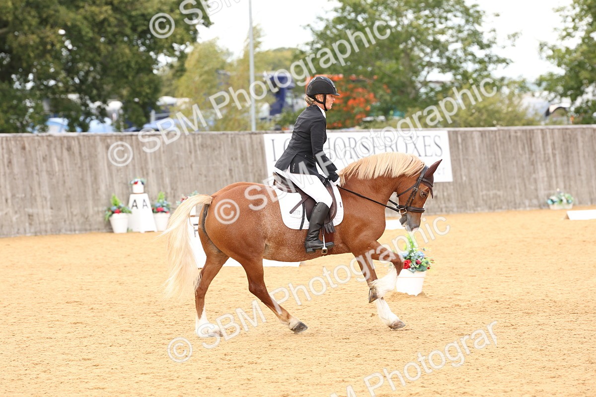 SBM_19524 - D10 - Small Tour Championship Prelim 2