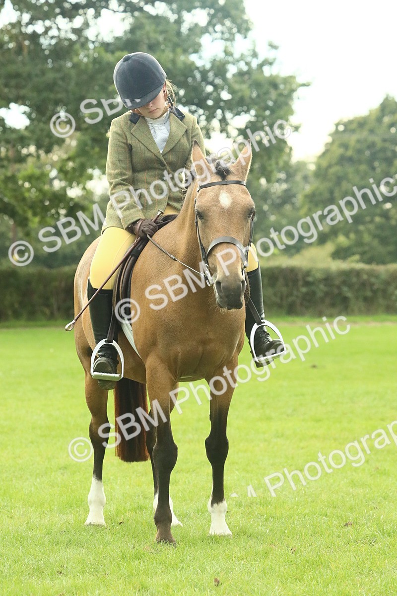 SBM_74113 - S 61 - Show Pony & Show Hunter Pony Ridden