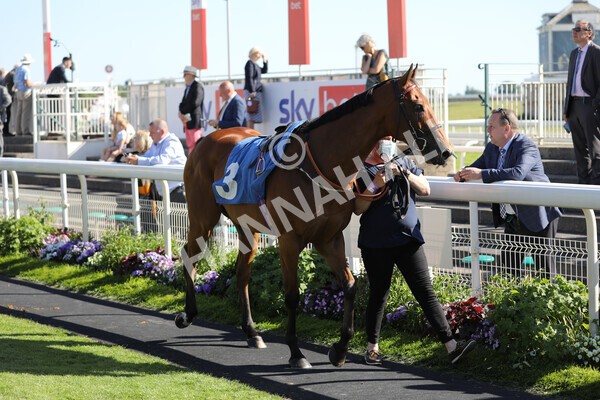 yr12062021r7-5 - Race 7 5.25pm Sky Bet Stakes