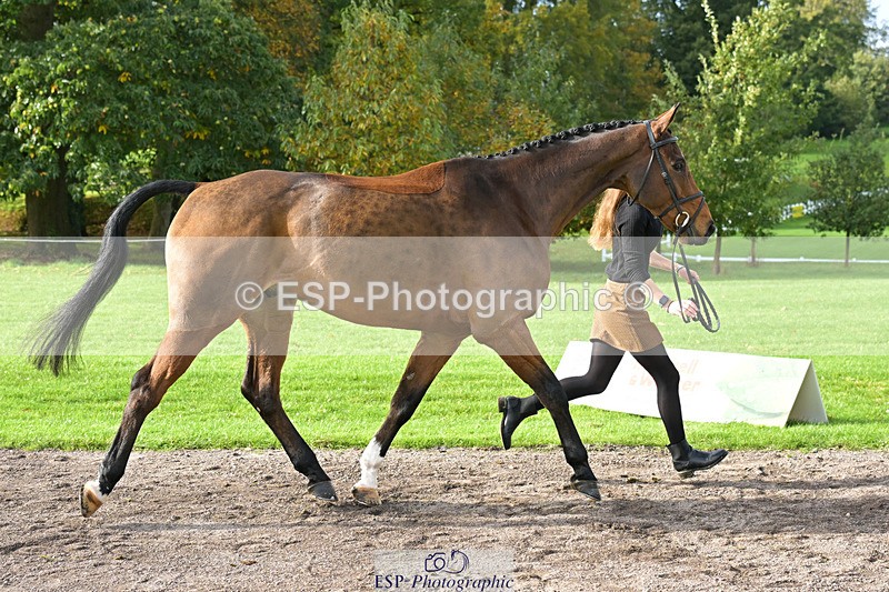241023-132223-00242 - 015-Katie.Corbin-SPORTSFIELD.U2