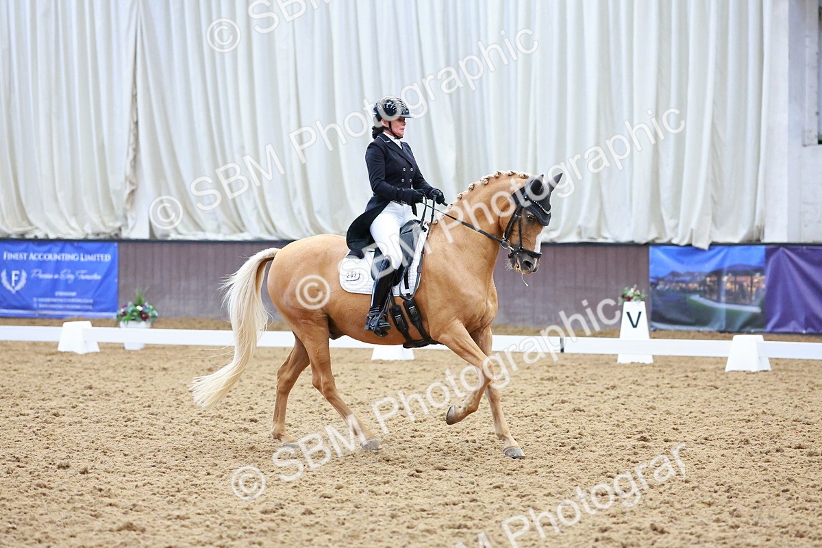 SBM_021317 - Class 25 - FEI PSG Bronze
