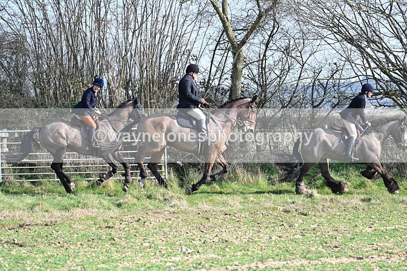 WJ7_5917 - Camera A