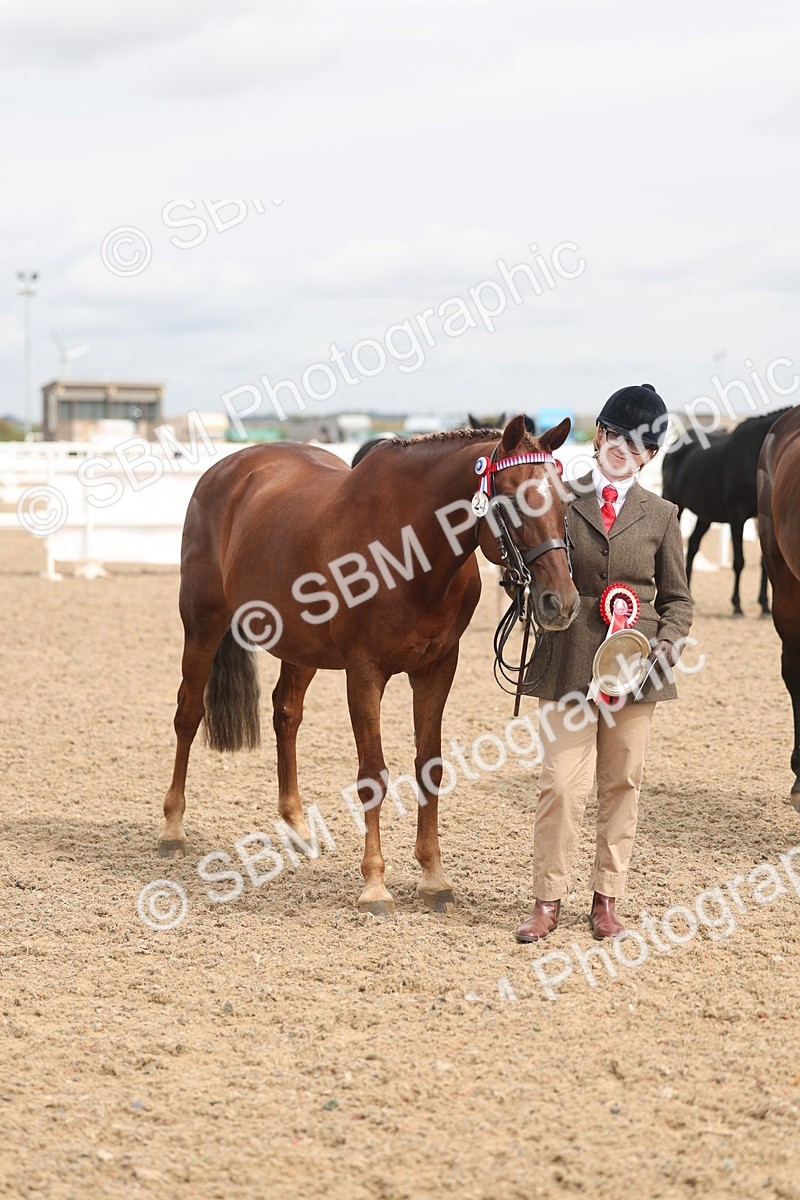 SBM_05037 - Class 20 - IH Veteran