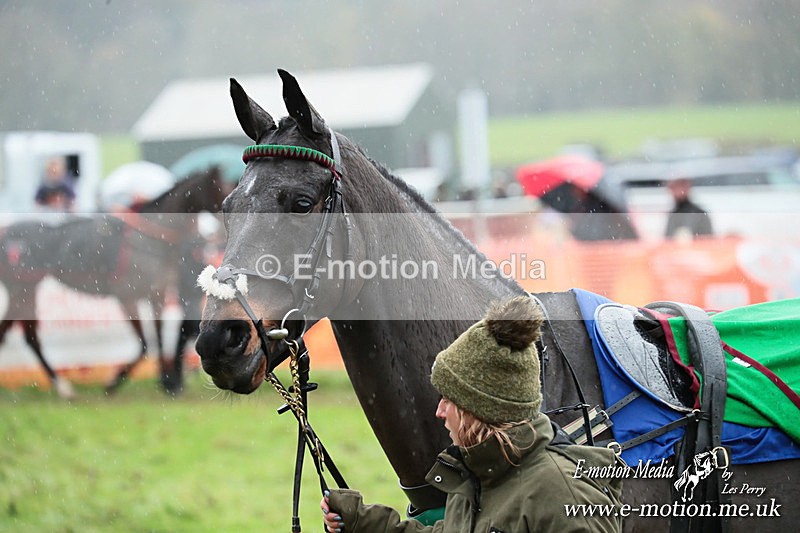 PtP 091125  0925 - Point-to-Point Wales Area Club Lower Machen, Gwent 09/11/25