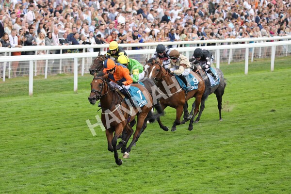 yr23072022r7-15 - Race 7 5.35pm Sky Bet Paying Extra Places Stakes