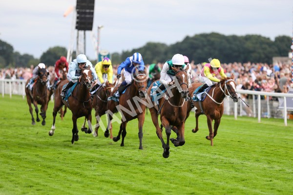 280723-Race 5-Midnight Mile-2921 - Race 5 7.15pm British EBF 40th Anniversary Lyric Fillies' Stakes