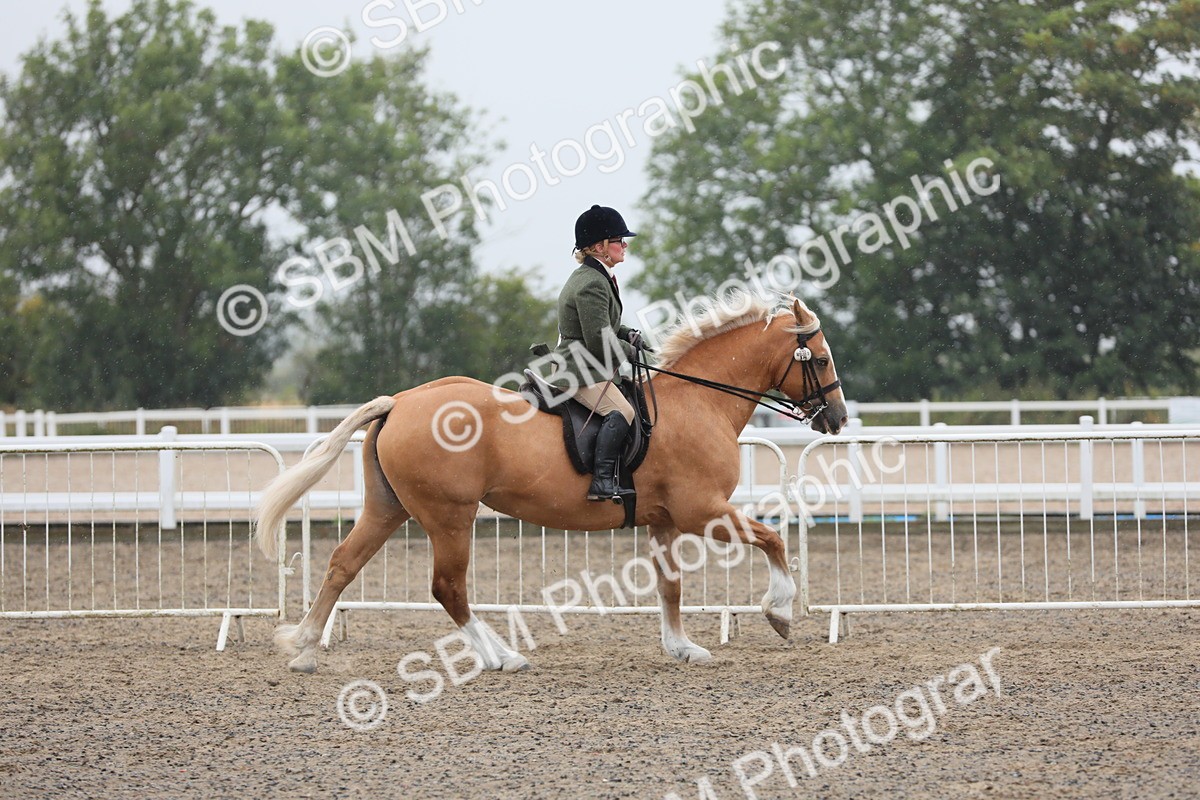 SBM_20293 - Class 803 - Ridden Combination 65+