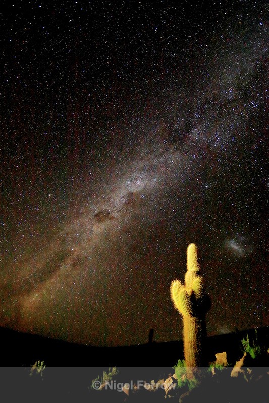 Milky Way over Atacama Desert, Chile - Chile