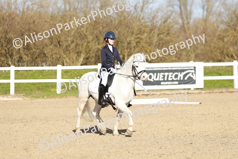 20260314-4528 - DR4 - Prelim 2