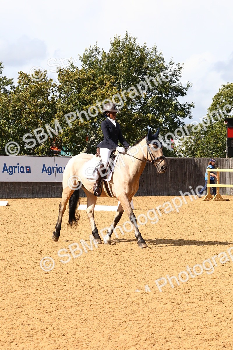 SBM_23553 - D5 - Small Tour Championshop Intro 2