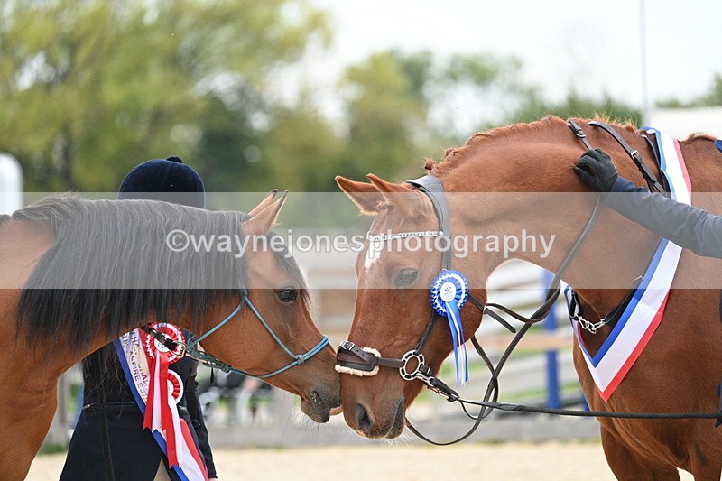 WJ7_1986 - Class 1 & Champs