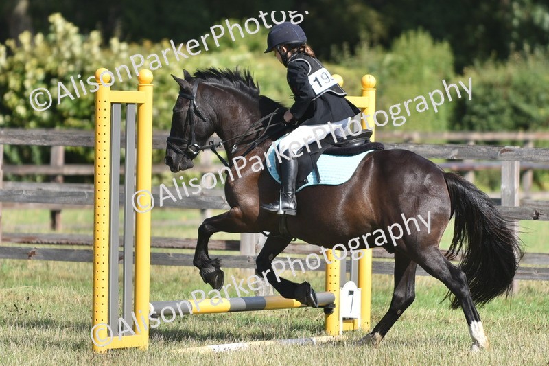 20260906-0951 - Class 7 - Absolute Novice Jumping 35cm