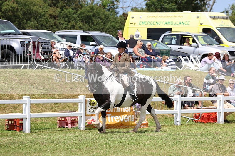 3E7A1996 - Class 10: Open Cob