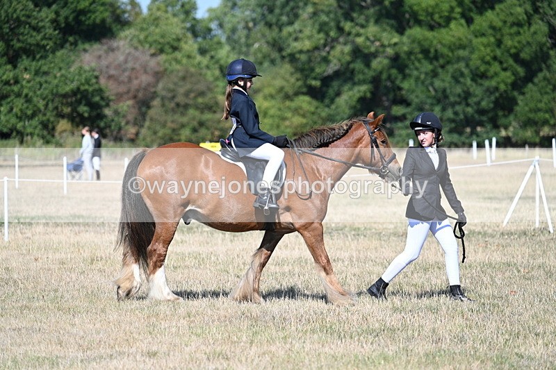 WJ7_2977 - Class 8 Ridden Tack & Turnout