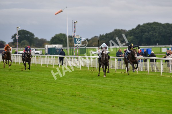 131023-Race 2-Lordship-9182 - Race 2 2.40pm William Hill Finale Handicap