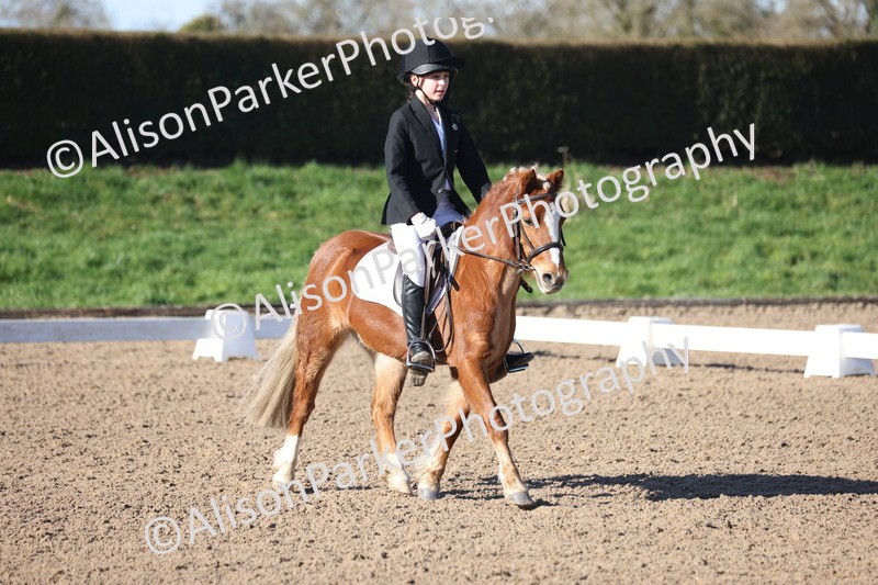 20260214-0271 - Class 3 - Prelim 2