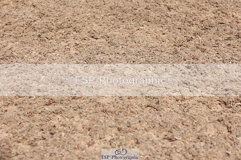 240621A-104308-00261 - Cls 6 BD Music Novice