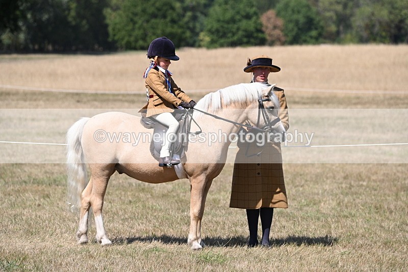 WJ6_9113 - Championship Classes 33-38