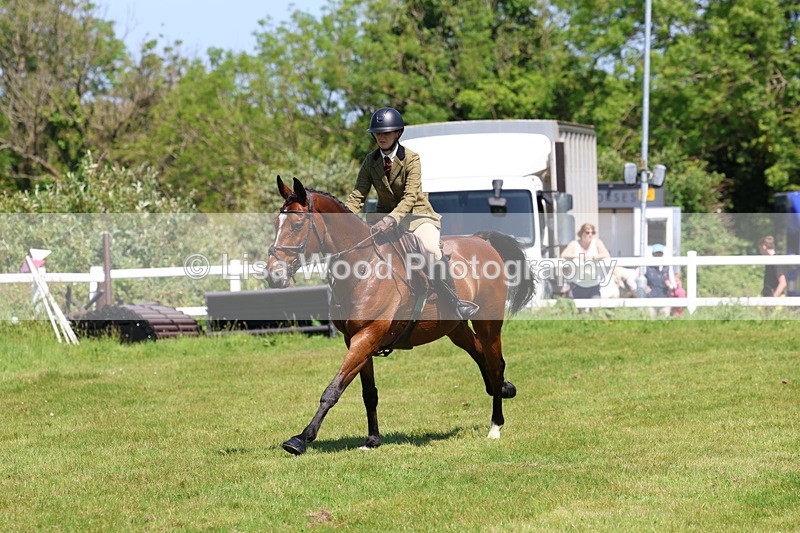 3E7A7289 - Class 30: Novice Working Hunter